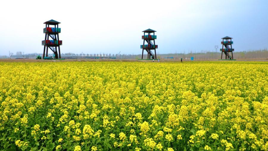 濟南槐蔭:一座充滿獨特氣質(zhì)的文化之城