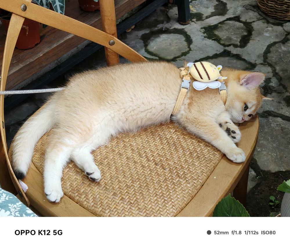 百瓦閃充+超長續(xù)航體驗全面升維:OPPO K12評測