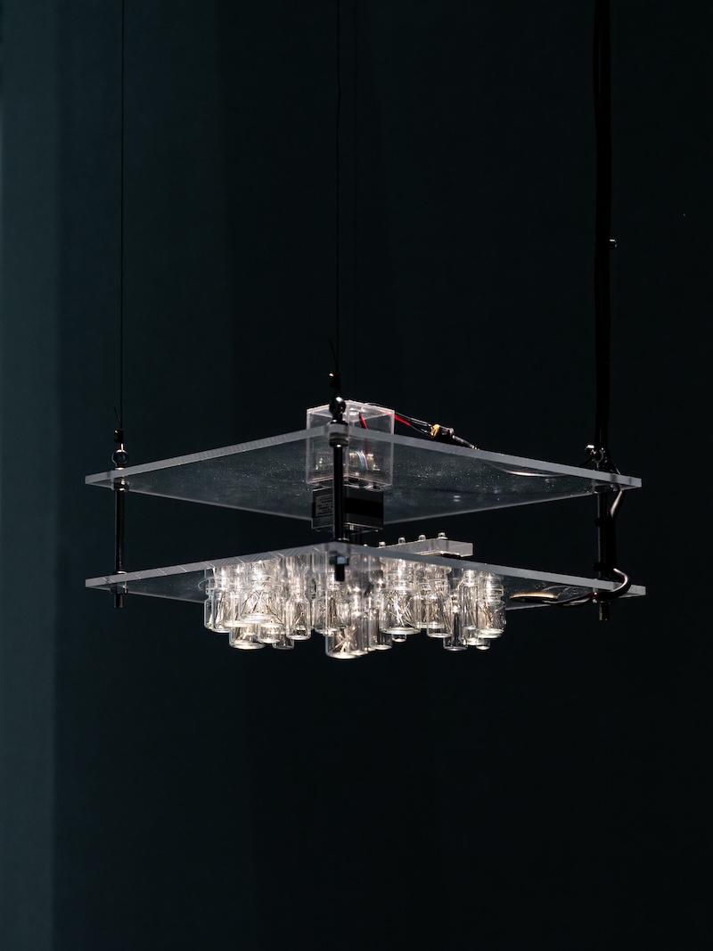 蓬皮杜策展人談“聲音的旅程”:聽覺可以覺察世界