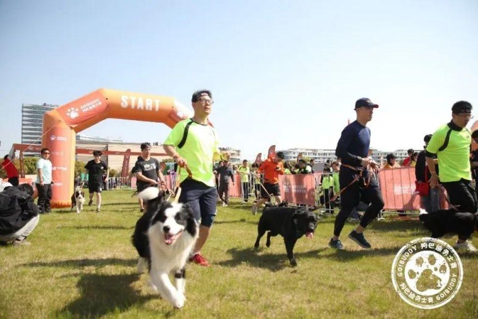 “商體文”深度融合發展,激活森蘭經濟新動能