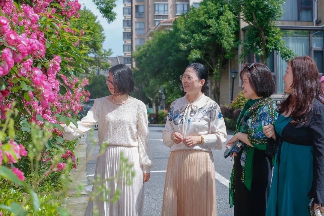 月季、鐵線蓮、繡球花……金山這里以花為“媒”,繁花似錦!