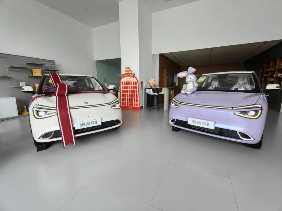 劍指海鷗、上打海豚,納米01如何承載東風純電小車夢?