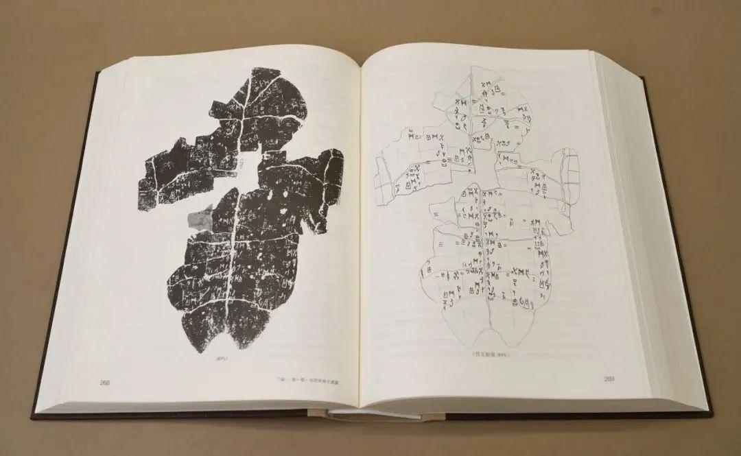 全國第一部古文字教材,復旦編寫!