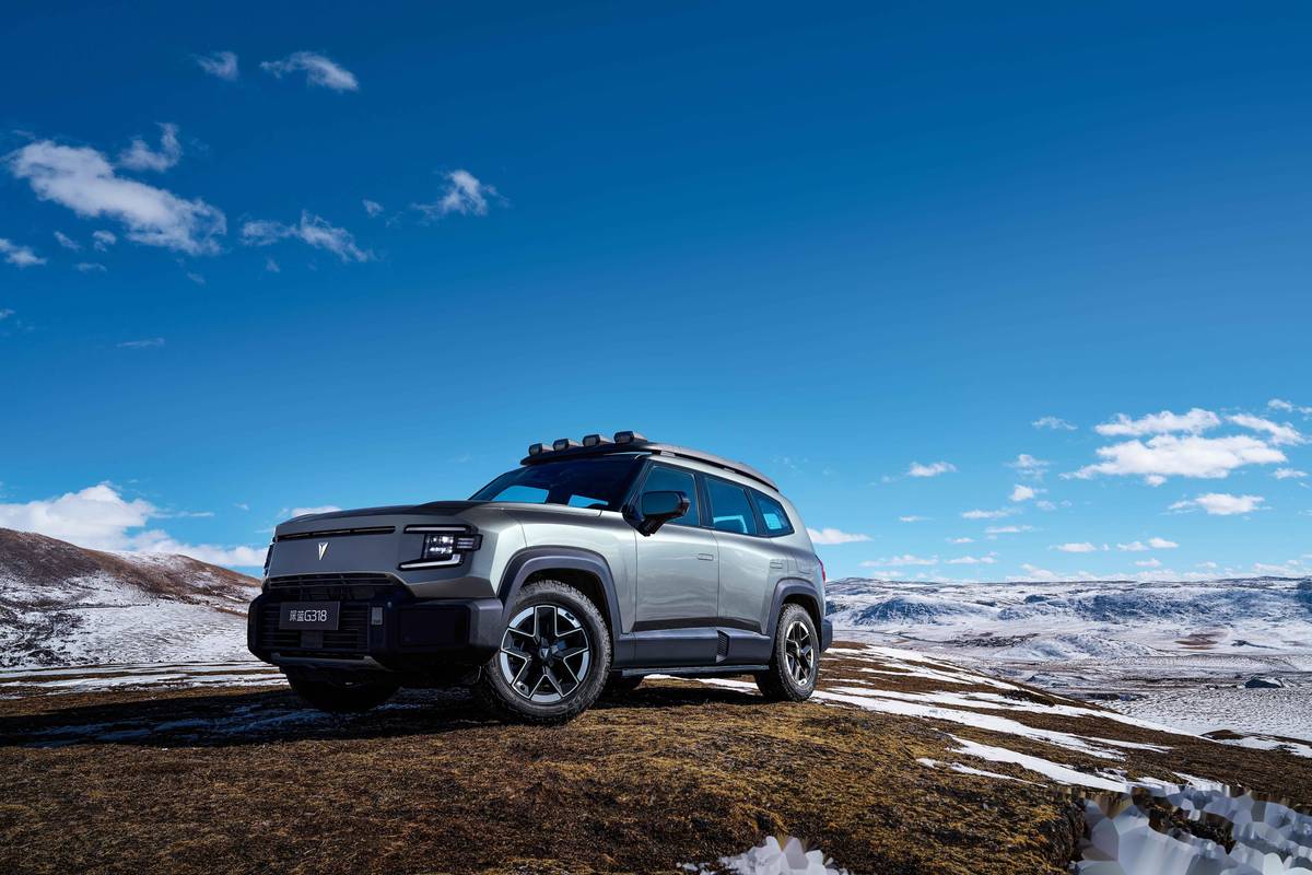 最新“減免稅”目錄!秦L、銀河E5等真的要來了,合資接招吧