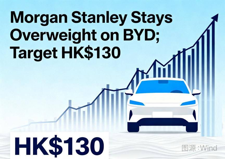 紛紛調(diào)高評級,比亞迪成為國際資本眼中的“香餑餑”